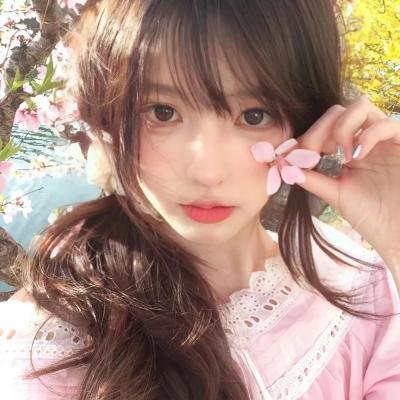 龙公主的冒险
